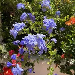 Casinha Serena By East Algarve Guest Vakantiehuis