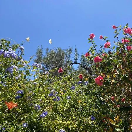 Casinha Serena By East Algarve Guest بيت للعطل *